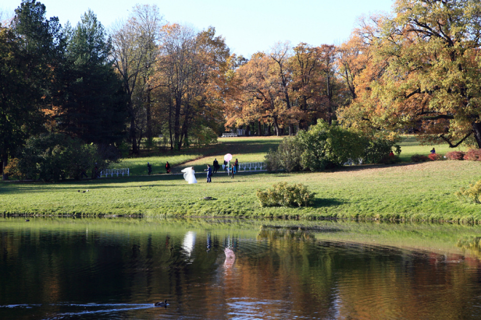 В Петербурге стартует реконструкция водоемов Царского Села по федеральной программе